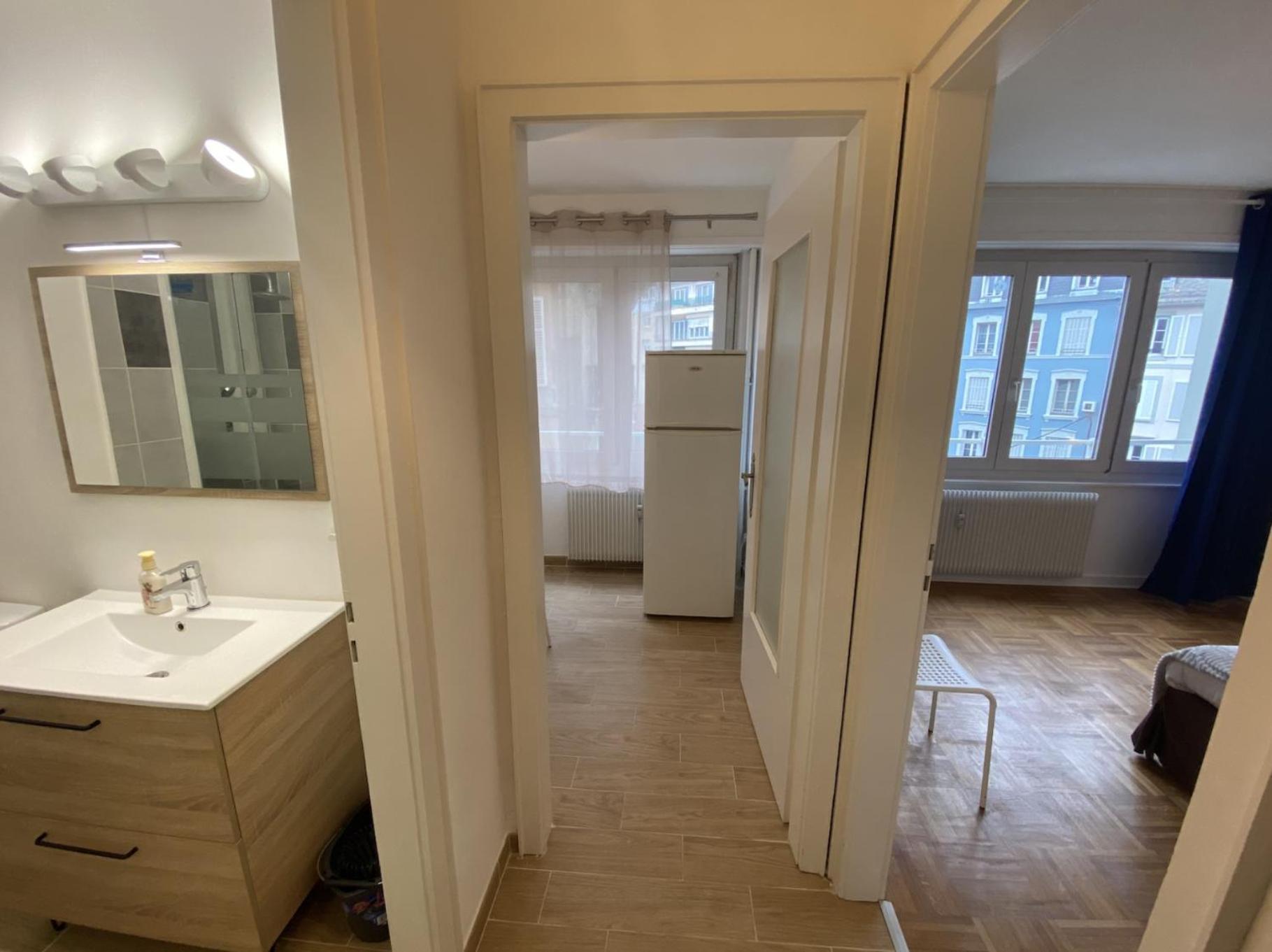 Appartement Gare Strasbourg Avec Parking エクステリア 写真